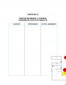 PARTE NO. 6 PUNTOS DE RIESGO Y CONTROL DIAGRAMA DE FLUJO POR CONSULTA