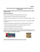 Instrucciones para la elaboración de las actividades de Aplicación y Metacognición