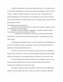 Las plantas Gimnospermas