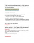 TIPOS DE ARREGLOS Y SUS CARACTERISTICAS