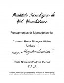 Unidad 1 Ensayo: “Megatendencias”.