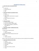 RESUMEN DE WORD (GUIA)