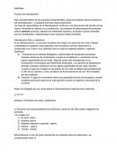 Edafoligia. Proceso de intemperismo.