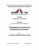 “SURGIMIENTO DE GRUPOS DE AUTODEFENSA EN MEXICO”