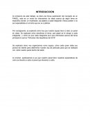 Al comienzo de este trabajo, se dará una breve explicación del concepto de un PANEL