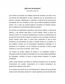 ¿Qué son las enzimas?