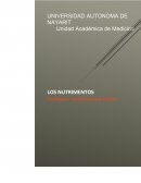 Es importante señalar y comparar las diferencias entre un alimento o compuesto y un nutrimento