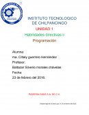 Habilidades directivas ii Programación