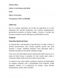 Brief rica Producto Fresa Rica (Leche de fresa)