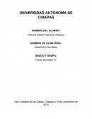 El presente escrito tiene como finalidad explicar la forma en que Chiapas se va a formando a través del tiempo, retomando como aportes a la historia a autores que se han dedicado, especialmente, a la historia de nuestro estado; Chiapas.