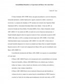 Ensayo caso banco AMRO