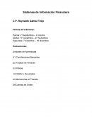 Sistemas de Información Financiera