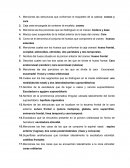 Mencione las caras que se distinguen en cada laberinto etmoidal