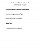 Ensayo e investigación. La sustentabilidad