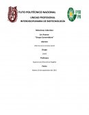 Grupo Convertidora S.A. de C.V.