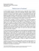 Película Lost in Traslation