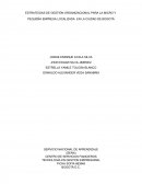 ESTRATEGIAS DE GESTIÓN ORGANIZACIONAL PARA LA MICRO Y PEQUEÑA EMPRESA LOCALIZADA EN LA CIUDAD DE BOGOTÁ