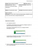 El pensamiento Lógico. Razonamientos deductivos