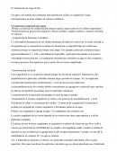 El Tratamiento de Agua de Río