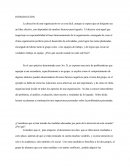 Consideras que se han tomado las medidas adecuadas por parte de la dirección de esta escuela?