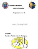 Actividad integradora Laboratorio de Ciencias Experimentales