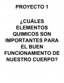 PROYECTO 1 ¿CUÁLES ELEMENTOS QUIMICOS SON IMPORTANTES PARA EL BUEN FUNCIONAMIENTO DE NUESTRO CUERPO?