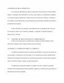 AUIDITORIA DE AREAS OPERATIVAS