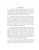 Cria de cachamas