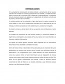 INVESTIGACION la contaminación al medio ambiente es el tema principal en el estado de Veracruz