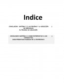 LAS PRUEBAS Y LA SELECCIÓN DE EMPLEADOS