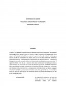 Los organismos compuestos por una sola célula