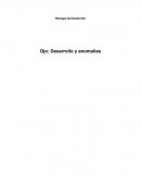 Biología del Desarrollo Ojo: Desarrollo y anomalías