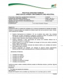 Ensayo DIRECCION DE CARRERA: MANTENIMIENTO AREA INDUSTRIAL