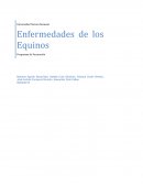 Enfermedades de los Equinos Programas de Vacunación