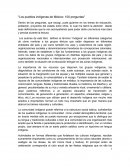 Los pueblos indígenas de México: 100 preguntas