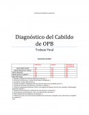Uso de conceptos y categorías teóricas vistas en clase en las unidades previas