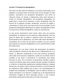 Perspectivas demográficas