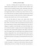 Iron Man, an American example