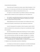 ESTADO POSITIVO-INDUSTRIAL