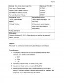 Sistemas de administración y construcción geométrica por computadora.