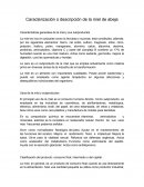 Caracterizacion y descripcion de la miel de abeja.