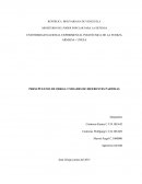 PRESUPUESTOS DE OBRAS: UNIDADES DE DIFERENTES PARTIDAS