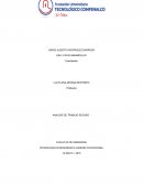 ANALISIS DE TRABAJO SEGURO.