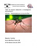 Enfermedad por el virus de Zika