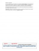 Tarea 1: indique si la cuenta corresponde al activo o al pasivo.