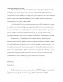 Modelos de adaptación individual.