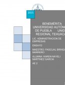 ANALISIS POLITICO, SOCIAL Y ECONOMICO