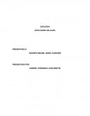 LA EVOLUCION CELULAR