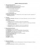 EJEMPLO ANÁLISIS DE PUESTO.