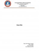 Seguridad de sistemas Plan Diario